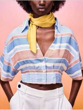 Zara Striped Cropped Button-Front Top in Blue & Tan